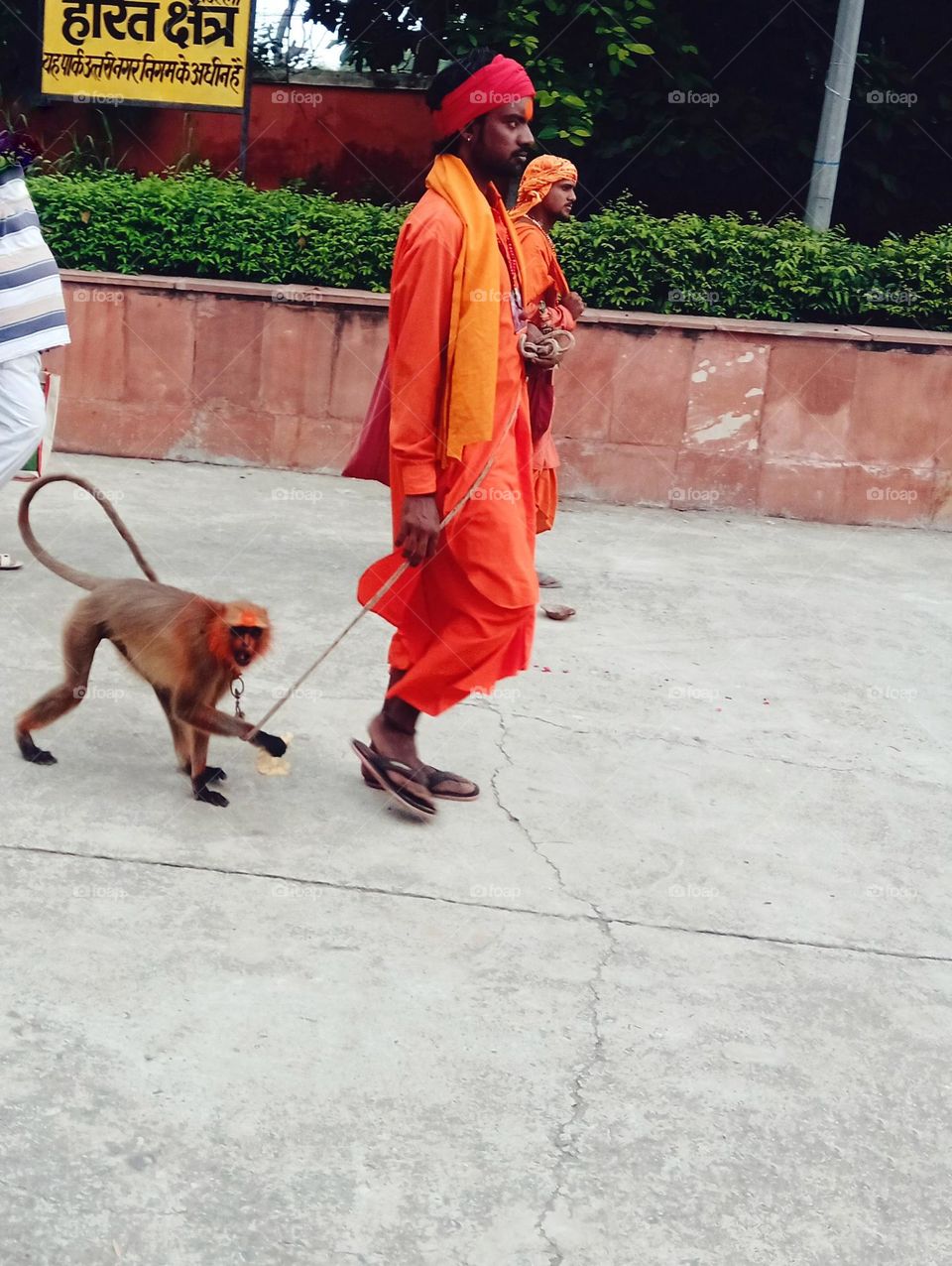 A saint passing with his langoor monkey in Hindu attires.