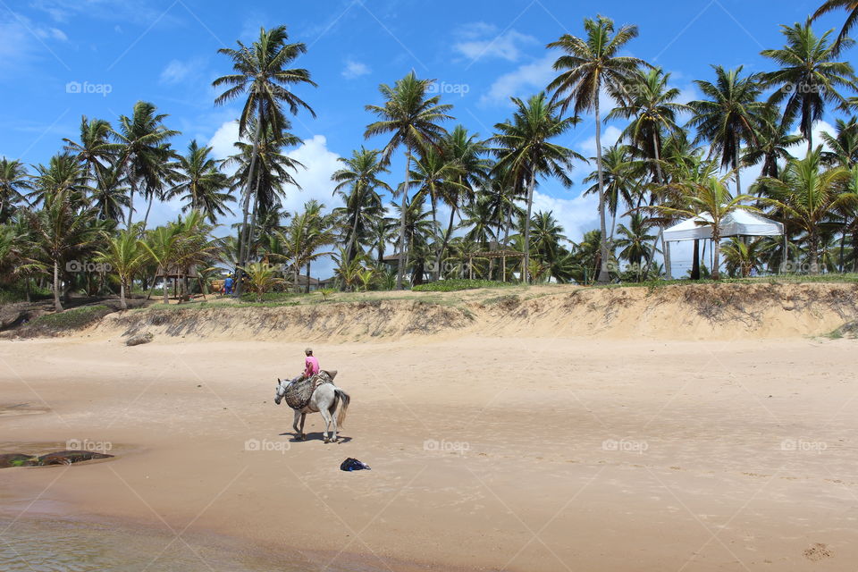 man riding a horse on the beach