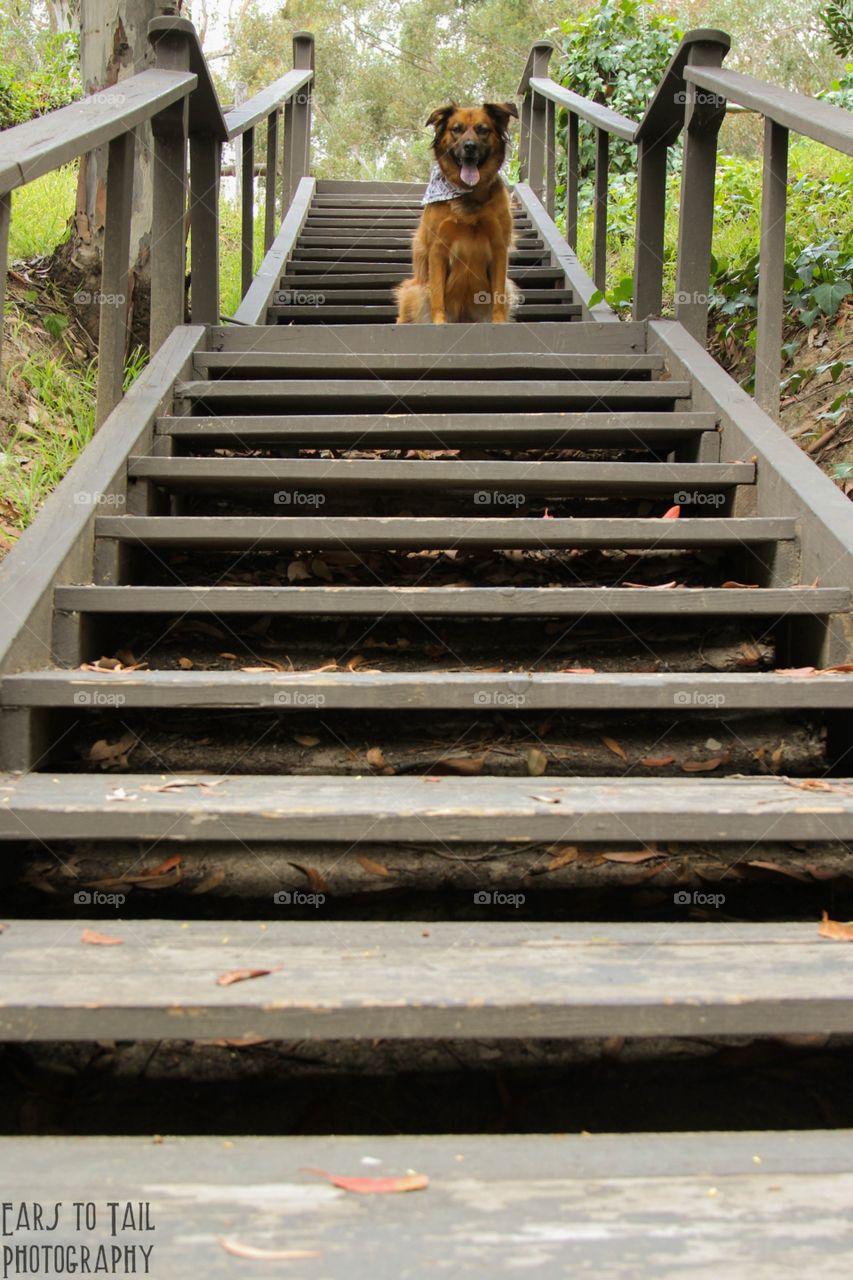 Stairs 