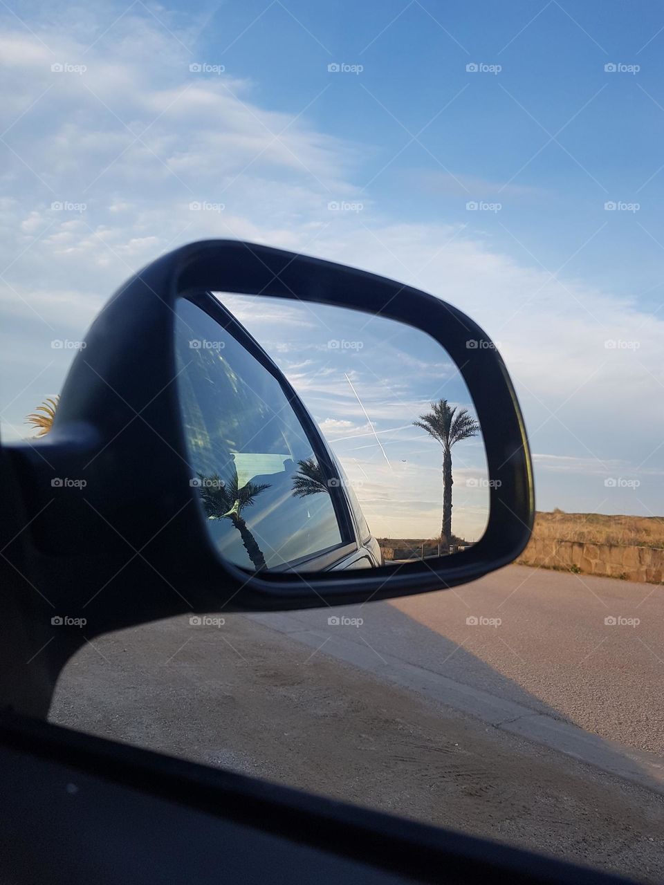 Rare view of a car mirror of palm trees during sunset 