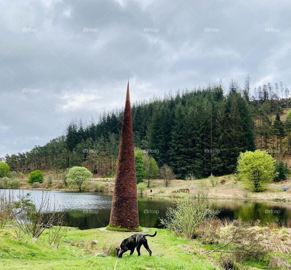 Happy puppy today! Enjoying the sunshine☀️