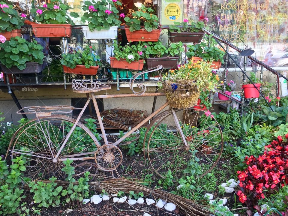 Bicycle in the garden