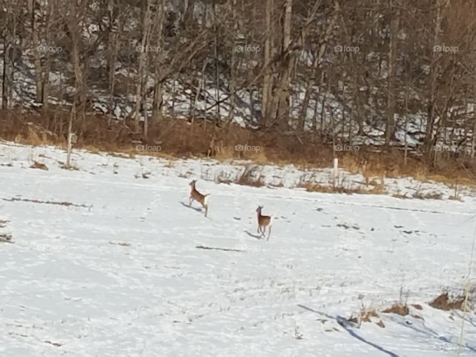 Things I enjoy in Wisconsin