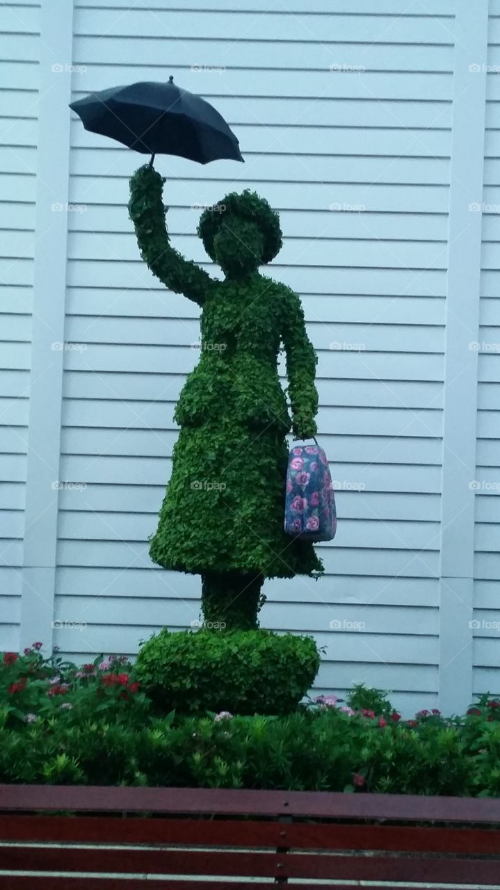 No Person, One, House, Flower, Tree