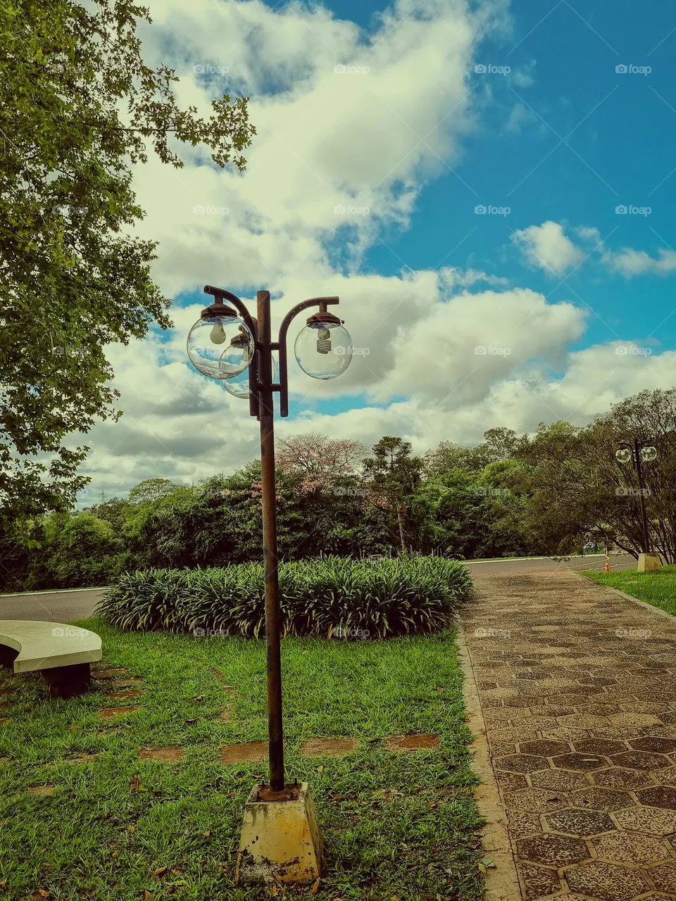 Landscape