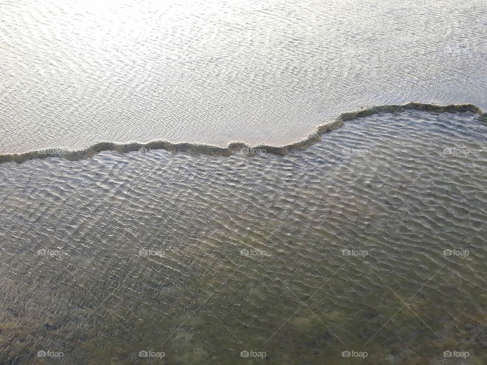 Corals on a brazilian beach