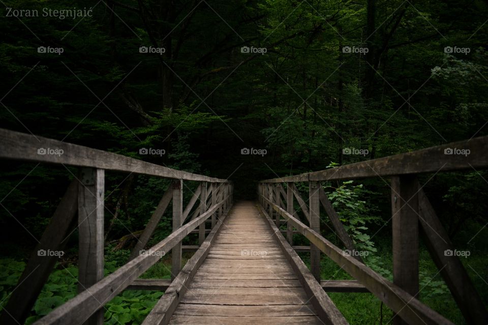 Bridge in wood