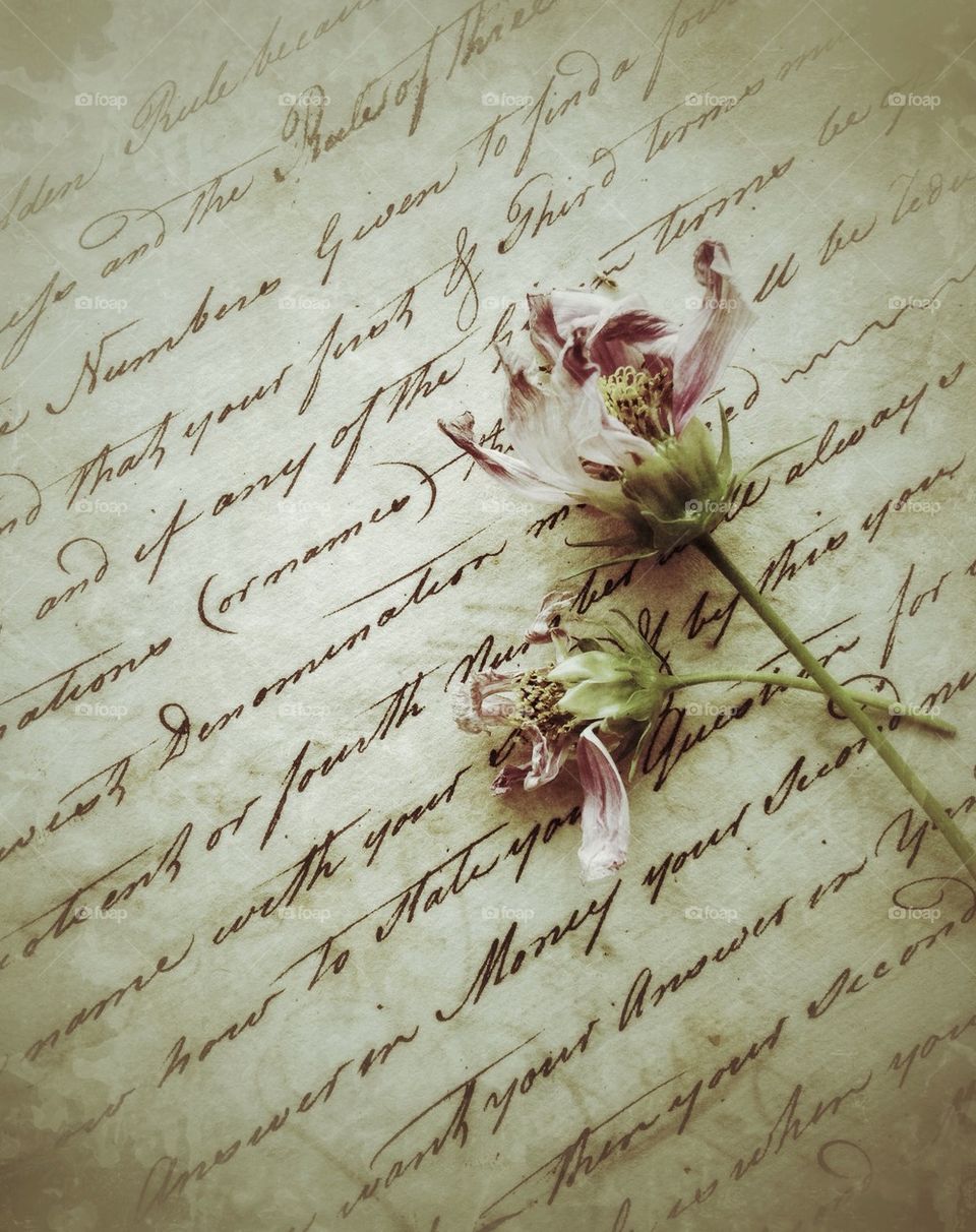 Two fading flowers on old script writing