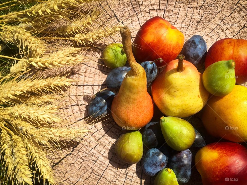 Autumn fruits