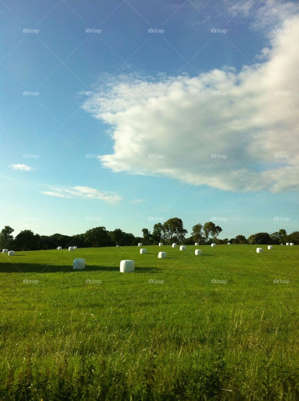 sweden båstad hovs hallar by smartini65