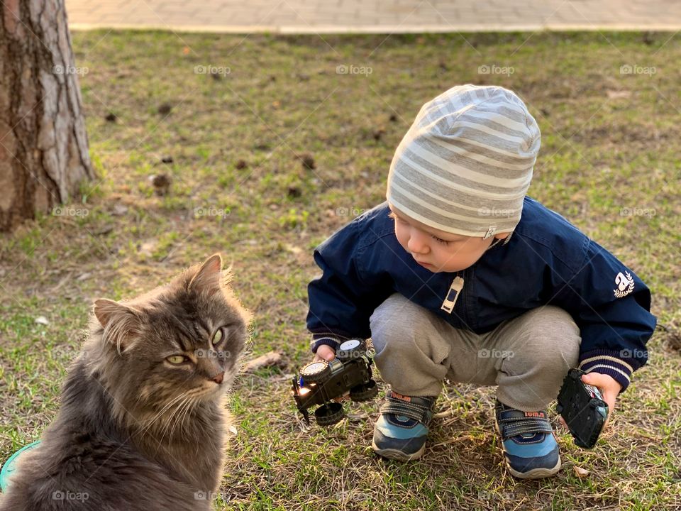 little boy looks at a furry cat outside