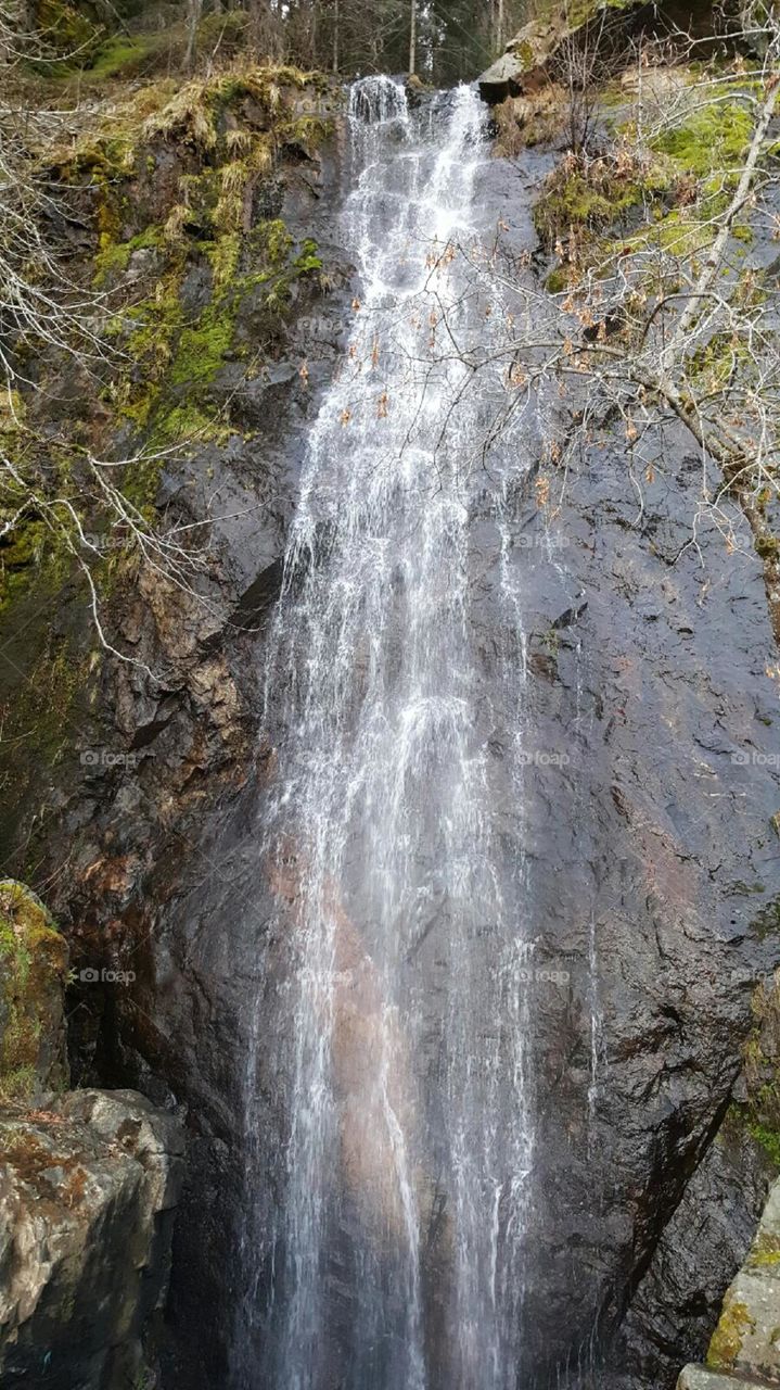 The Waterfalls