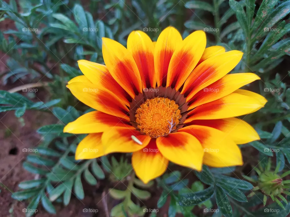 😍two colours  photography