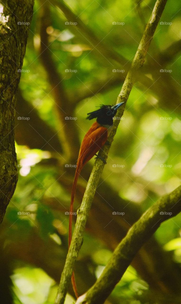 Watching nature can open the door to a perfect life
