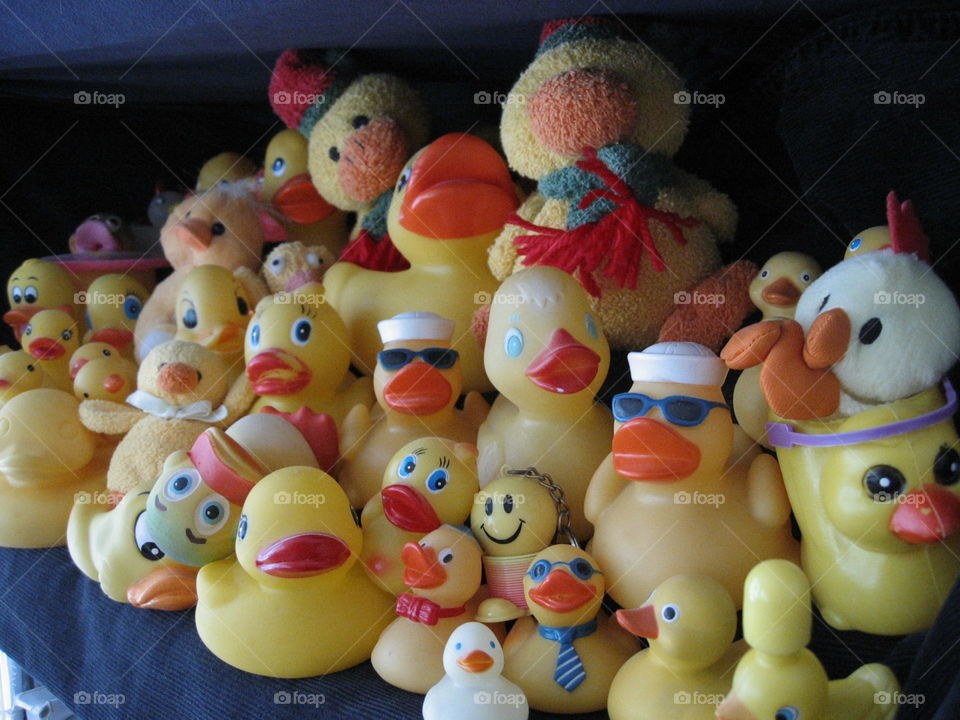 The rubber ducky family reunion is going, well, just ducky, I suppose.  