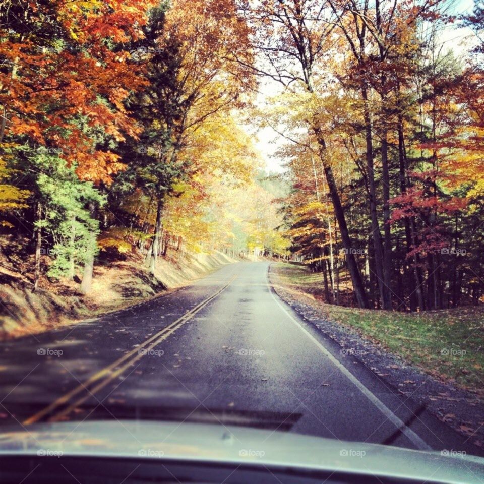 Point of view while driving 