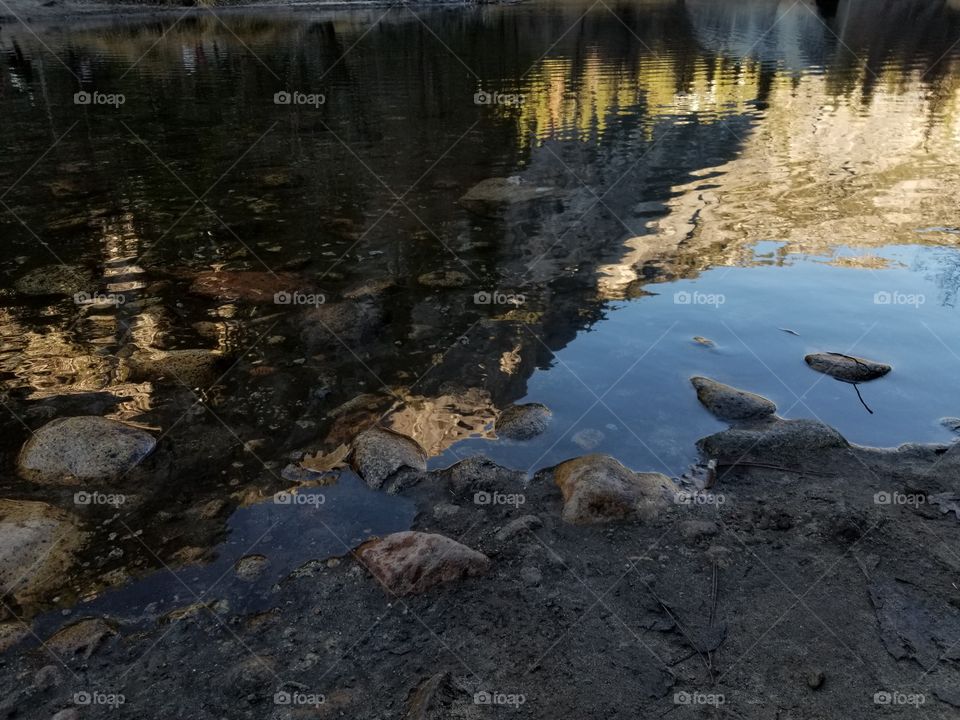 Morning reflection in water