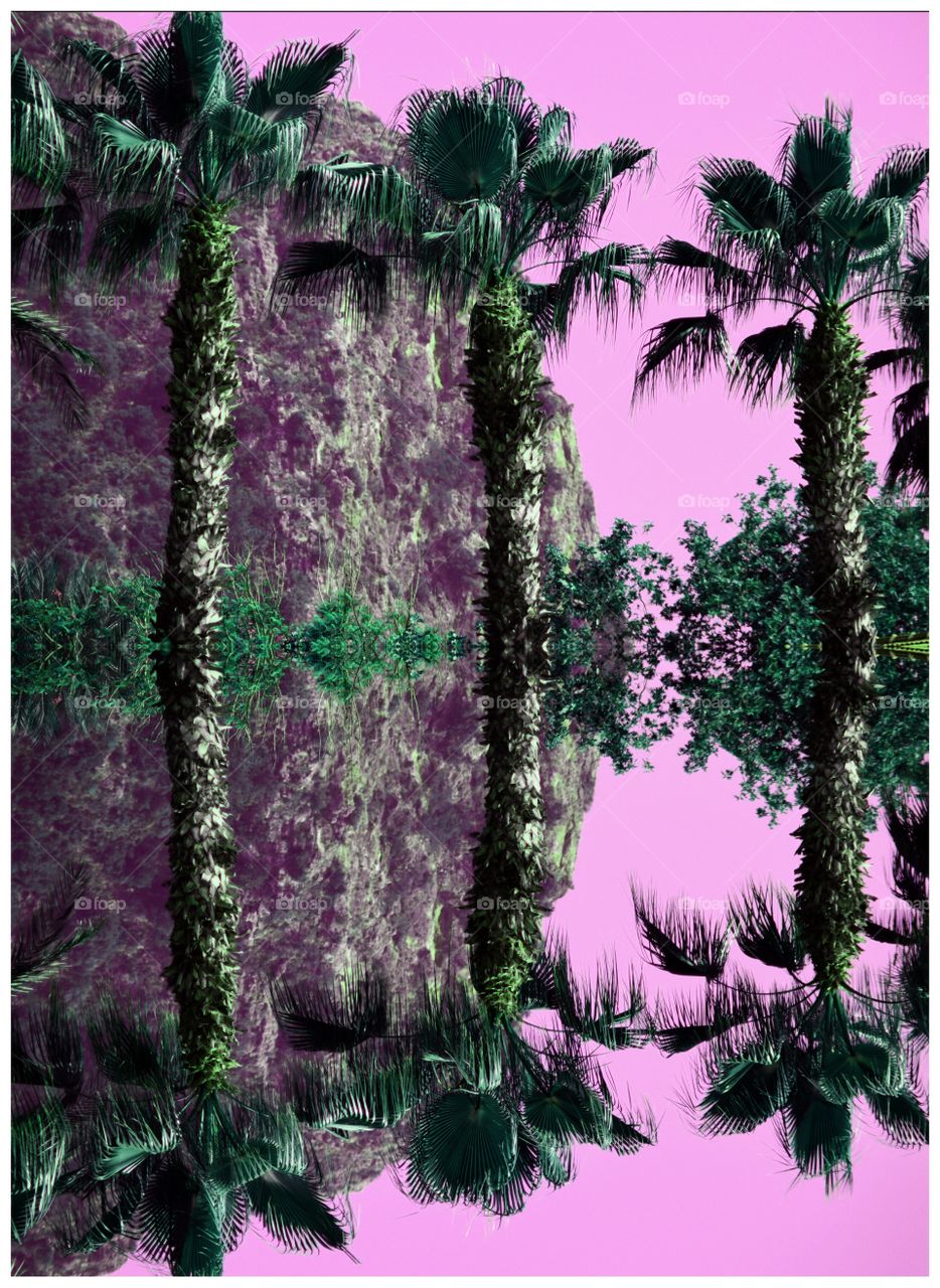 Pink palms