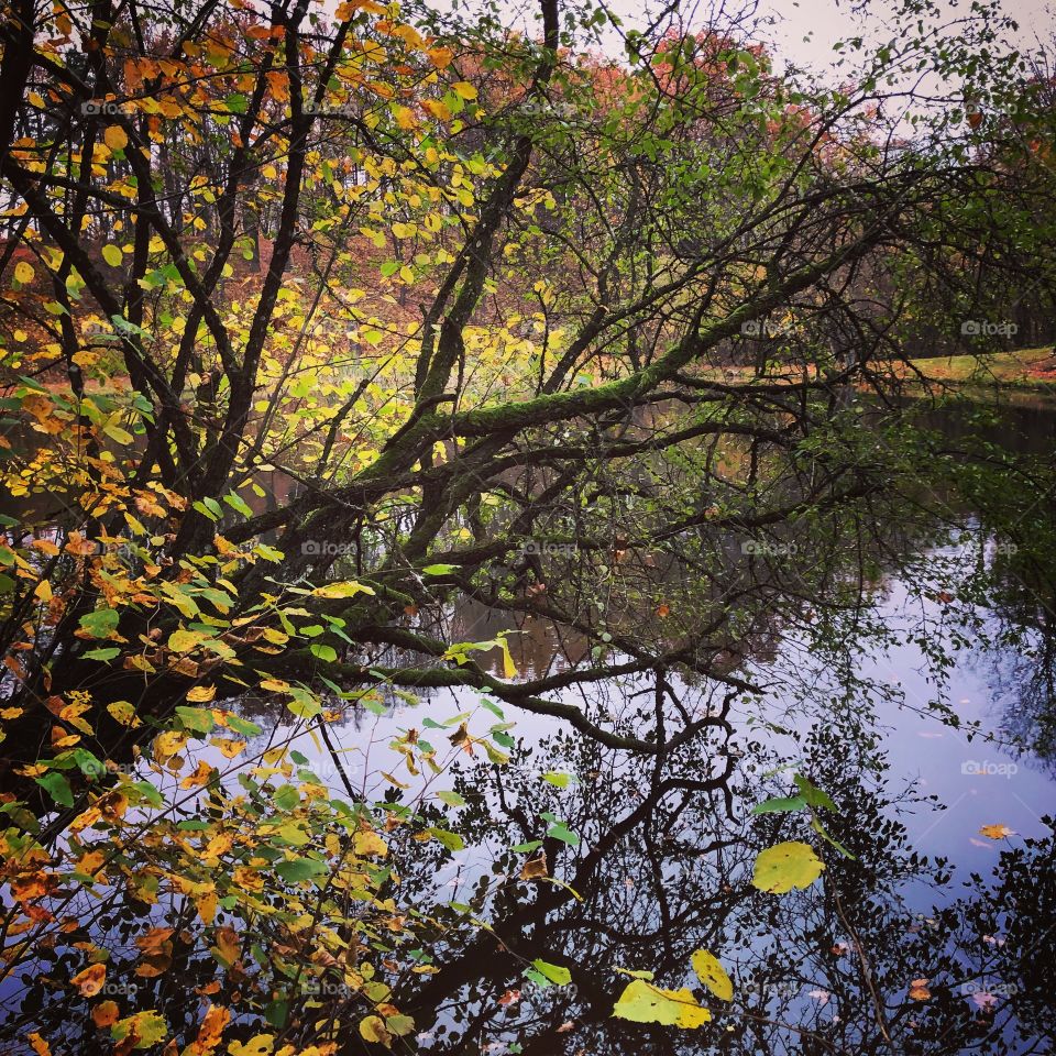 Autumn colors 