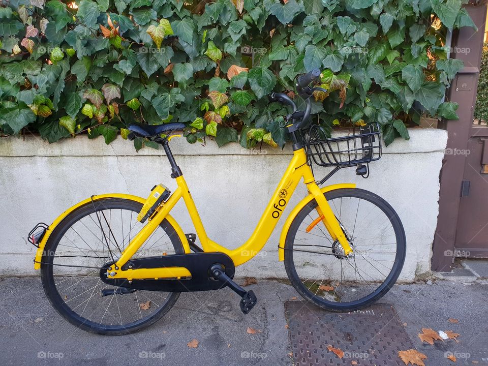 Yellow bike