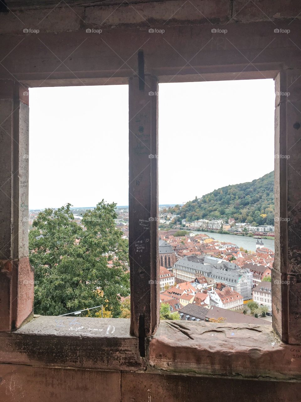 heidelberg view