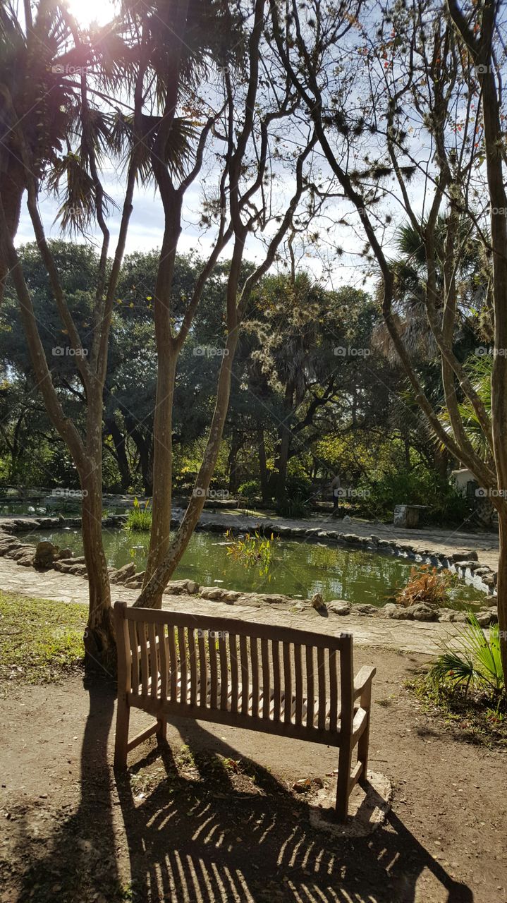 Empty Bench and Pond