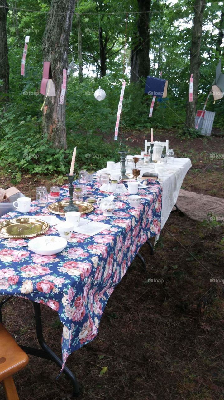 Magic dinner in the forest