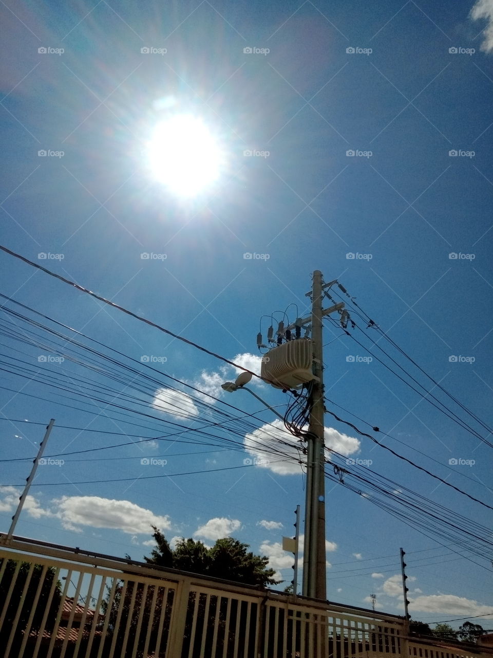 Editors'Choice Photo of the week