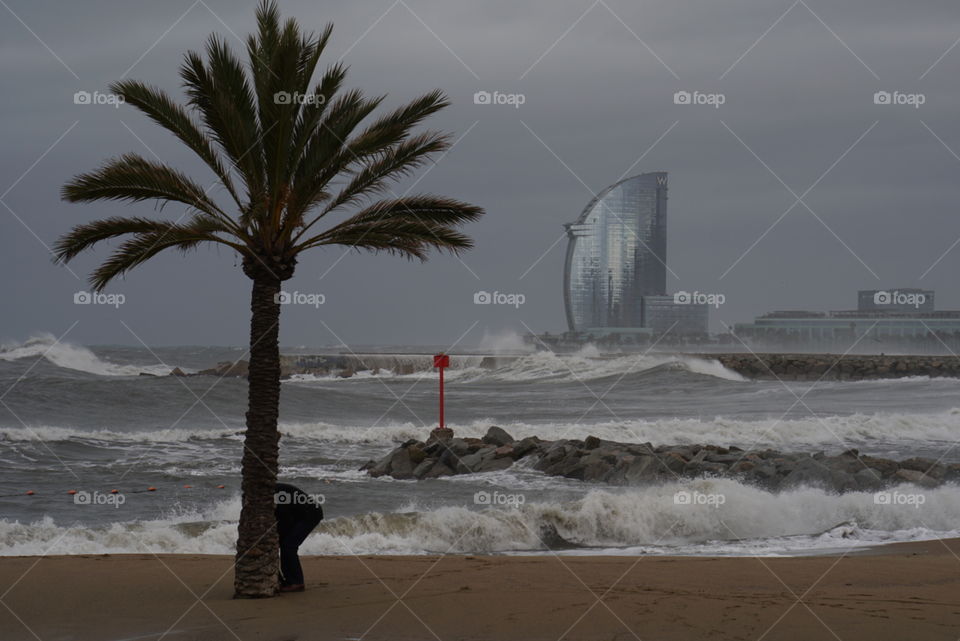 Mediterranean Winter