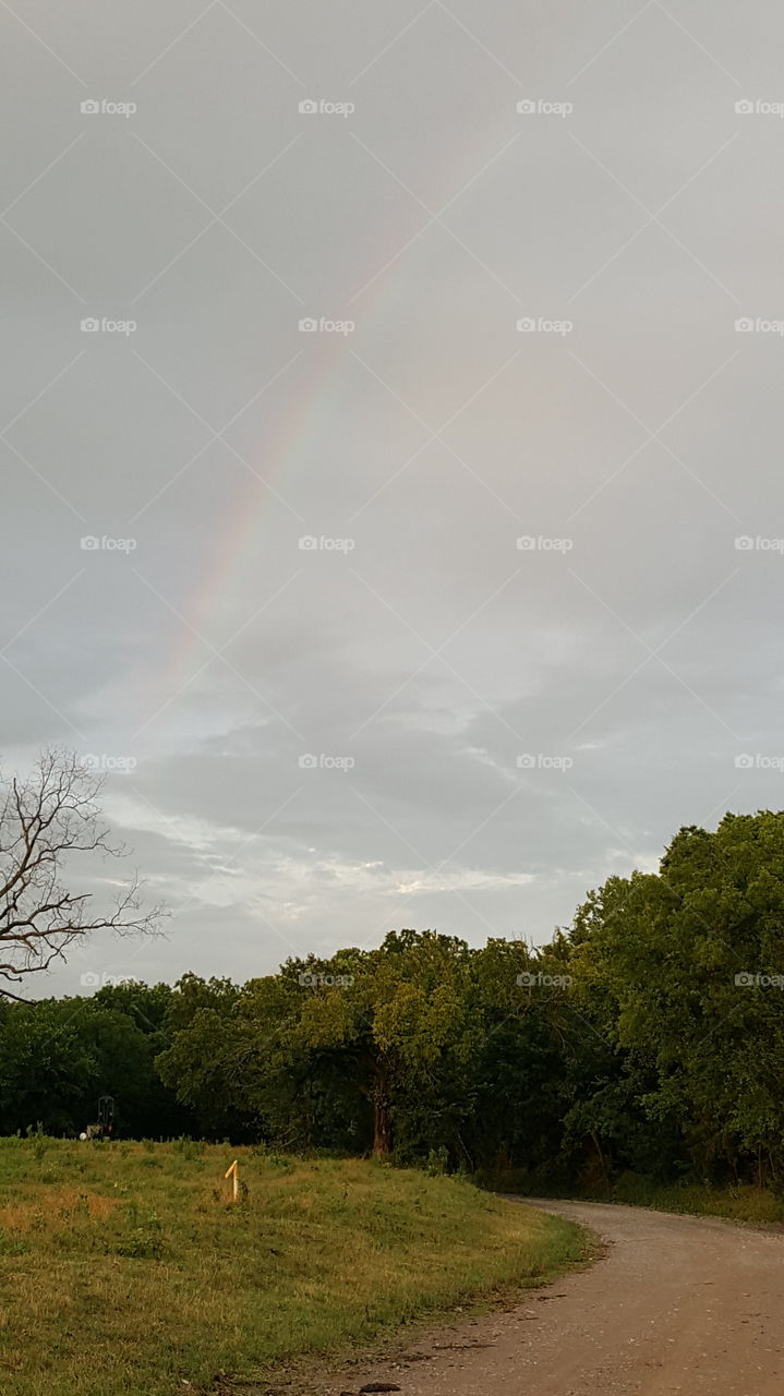 The rainbow...an amazing display of beauty. And a promise to us from God...