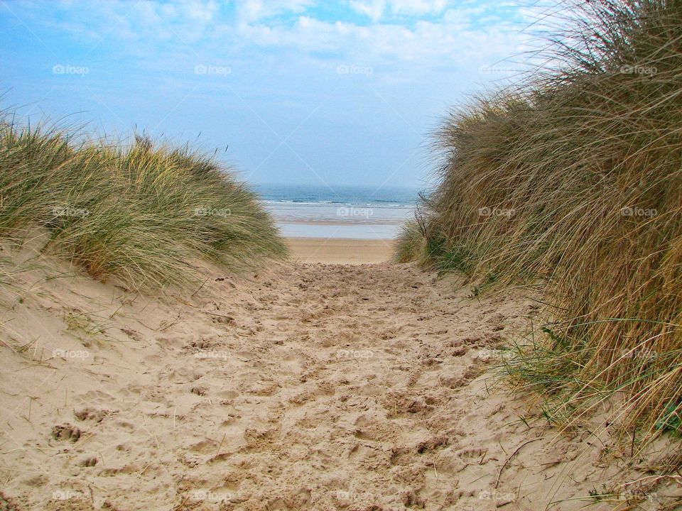 Sandy Path To The Beach. A sandy path through sand dunes to a vast beach and Ocean.