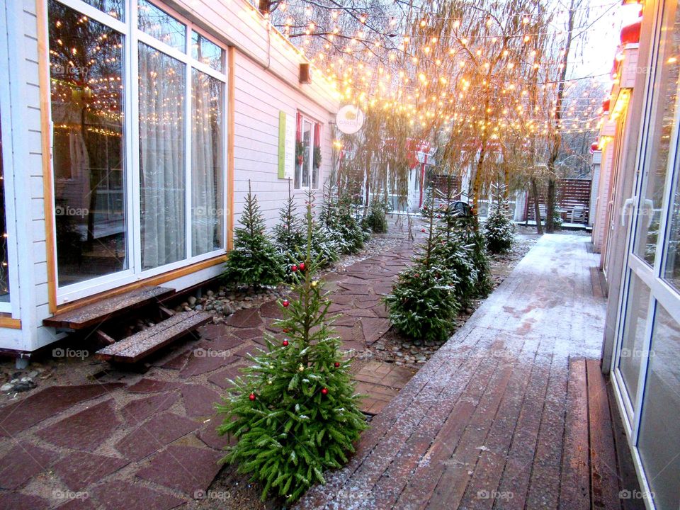 New Year's park decor