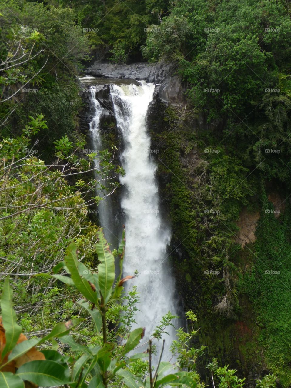 Maui, HI