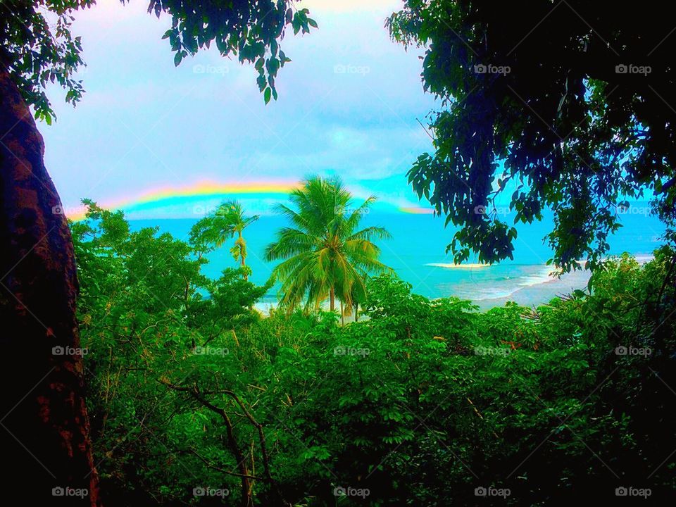 Over the rainbow 