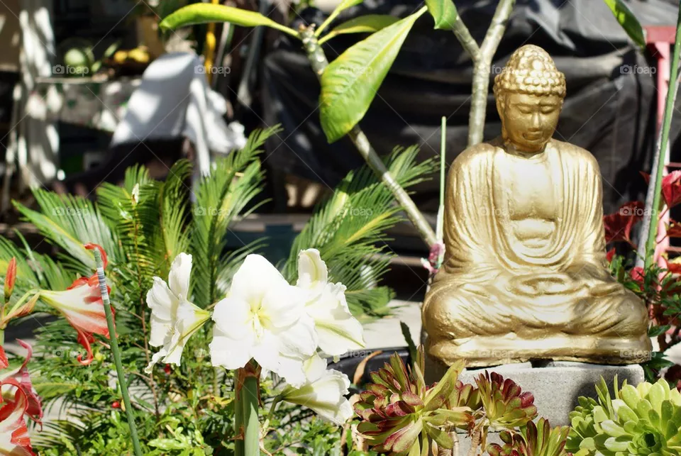Zen Garden