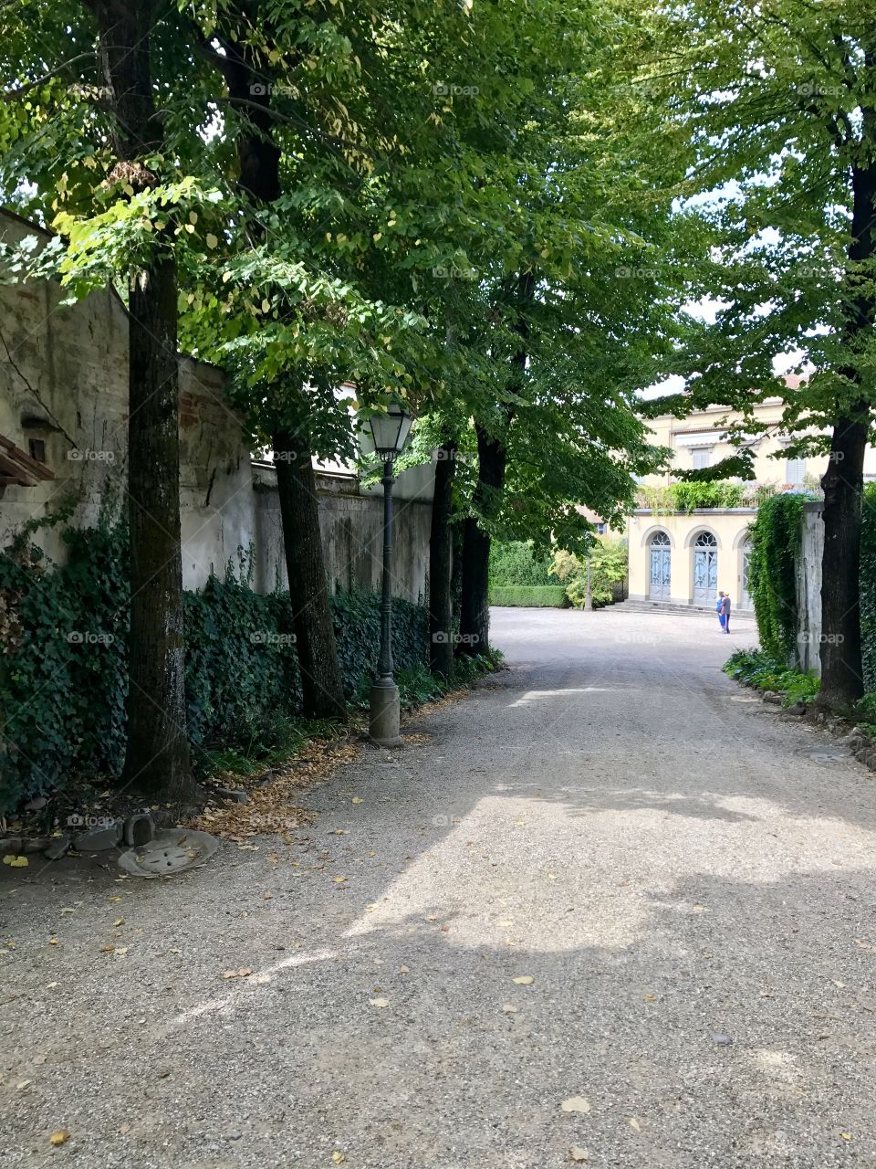 If you’re planning a trip to Florence, take a day out to see Pitti Palace. Serval world class museums and galleries, backed with a monument garden. Cool in the late Summer sun, every path reveals a magical glimpse of myths of the ages.