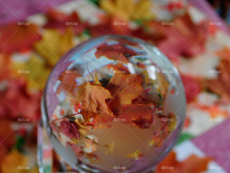 Summer vs Fall -  Fall through a crystal ball - Fall is the most colorful season of the year when the weather becomes mild and leaves start falling from many types of trees.