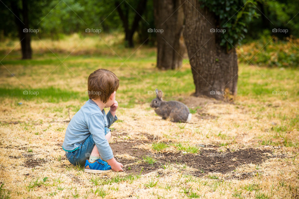 Love this moment of my boy interacting with a bunny. Image of little boy looking at rabbit