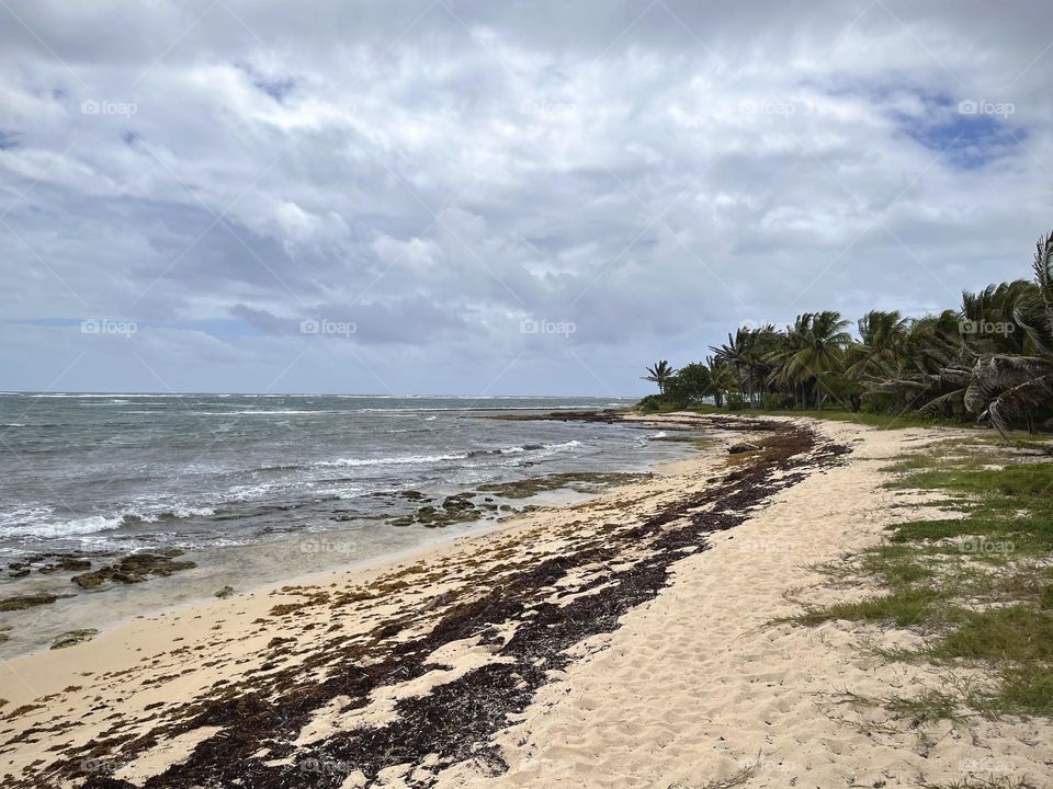 Wild Caribbean beach of the Caribbean