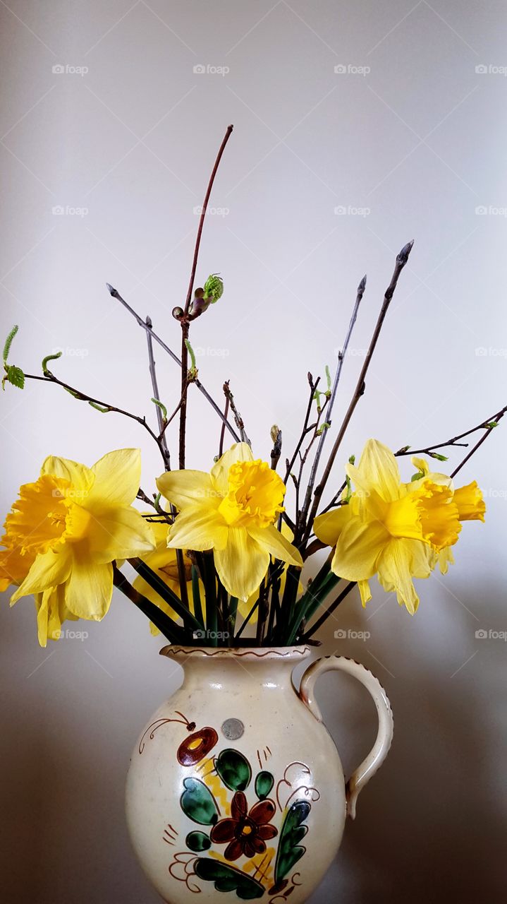 Daffodils, spring