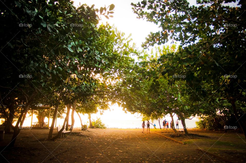 Sunset walk to amphitheater on the coast of Grand Cayman 
