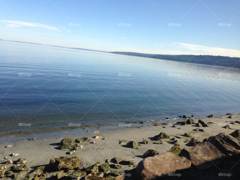 View from the train. Amtrak Cascades route from Seattle to Vancouver.