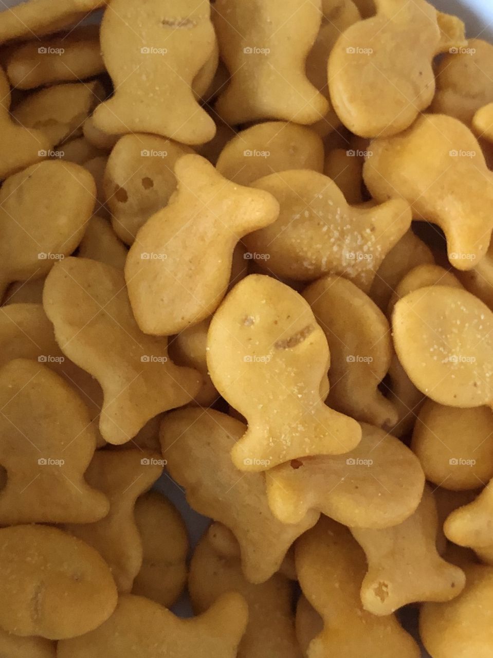 Swimming in Fish Crackers