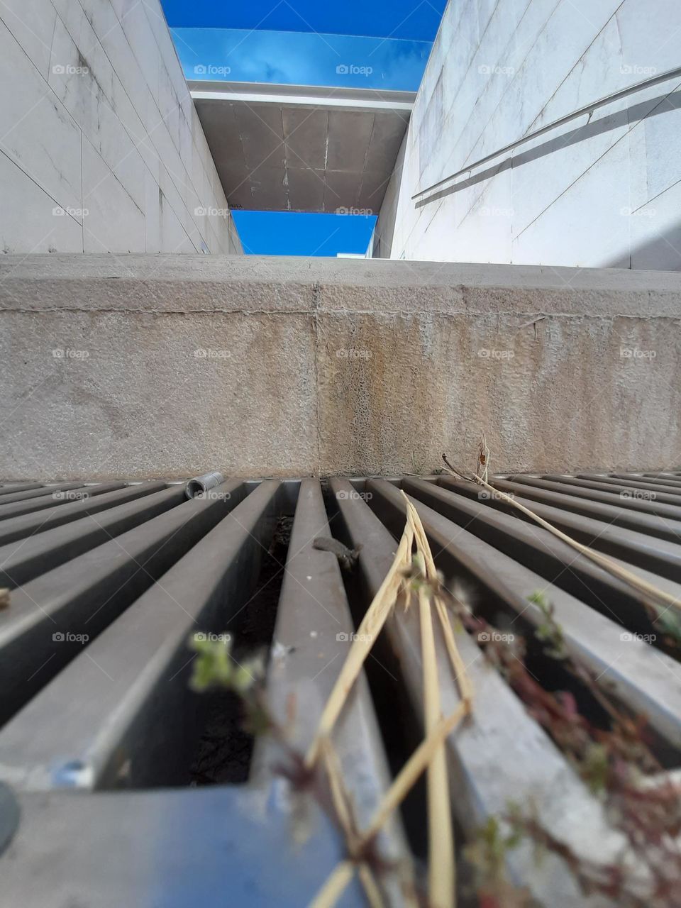 From Down Up - From the Sewer to the Sky