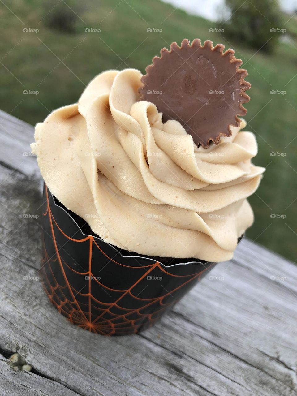 Chocolate Peanut Butter Halloween Cupcake 