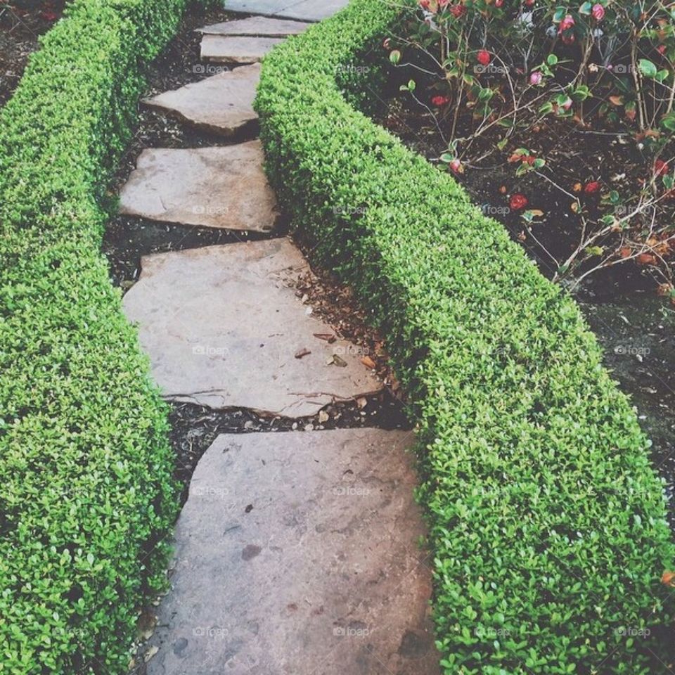 Stone Path