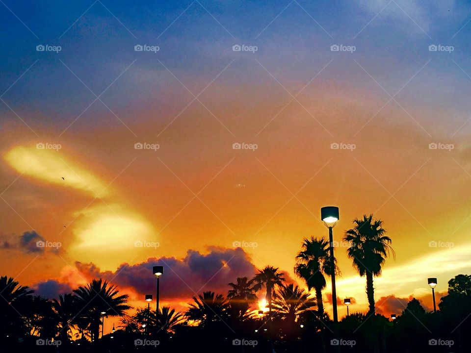 Sunset in Jupiter, Florida