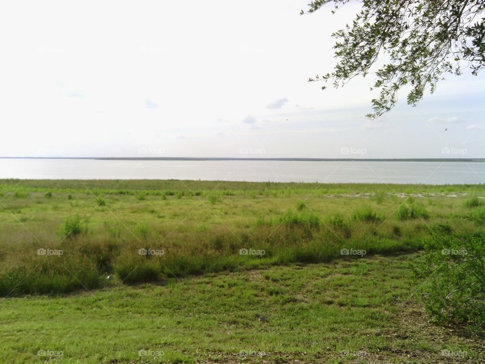 Landscape, Water, Grass, Nature, Tree