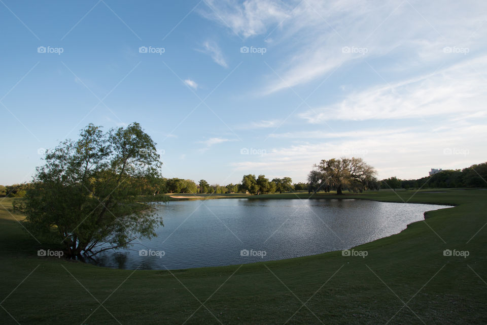 Pond in the park 