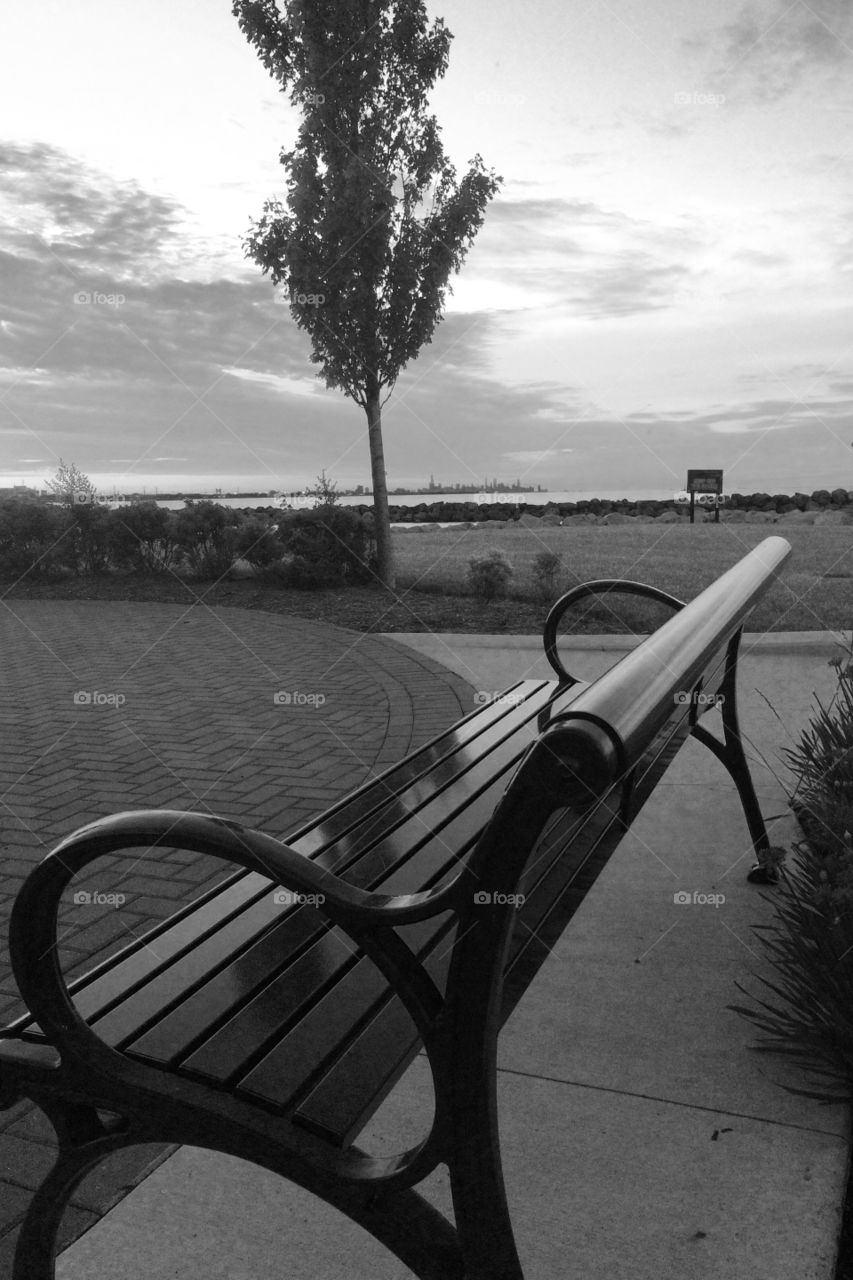 Park bench looking at city skyline 